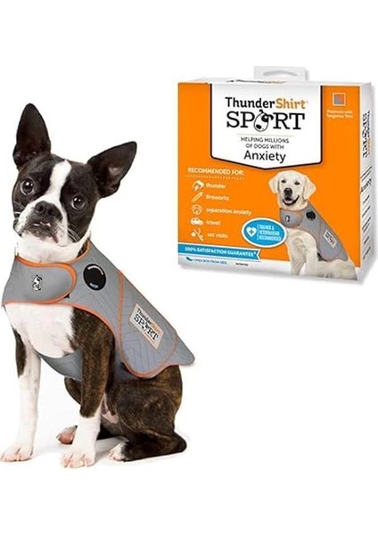 Köpek Giyim Köpek Anksiyete Ceketi, Platin, X-Small Abd