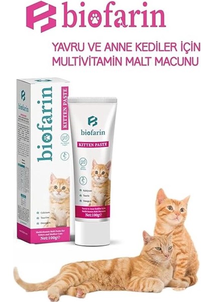 Kitten Paste 100 gr Yavru ve Anne Kedi Bağışıklık Kas Gelişimi Destekleyici Multivitamin
