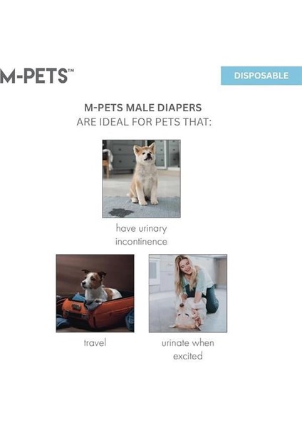 M-Pets Dıapers Erkek Köpekler Için Külot (L) 12Lİ
