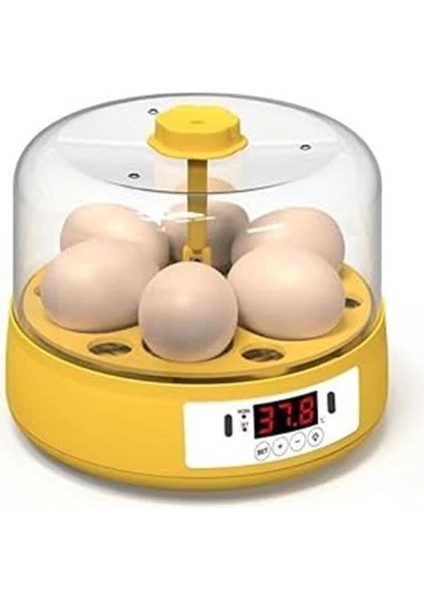 Mini Otomatik Ev Tipi Kuluçka: Elektrikli Tavuk ve Kuş Kuluçka Makinesi 6 Yumurtalı Mx-6