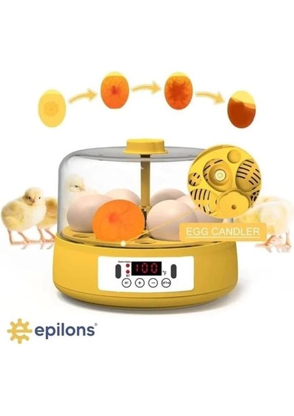 Mini Otomatik Ev Tipi Kuluçka: Elektrikli Tavuk ve Kuş Kuluçka Makinesi 6 Yumurtalı Mx-6 fiyatları