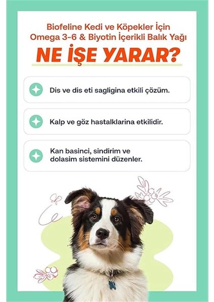 Fish Oil ve Omega 3 ve 6 Içerikli Balık Yağı ve Kedi ve Köpekler Için Tüy ve Genel Sağlık