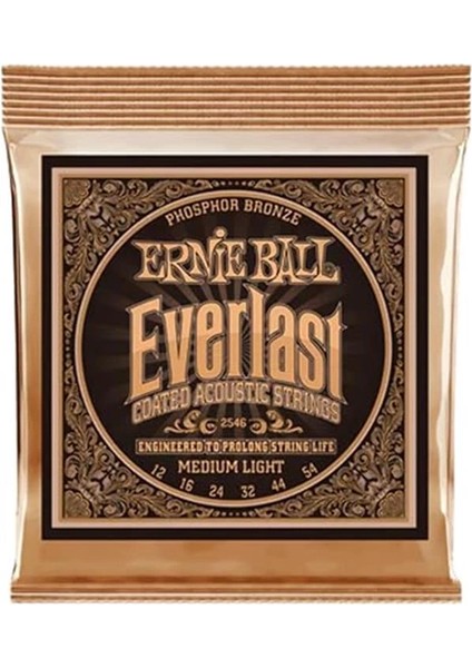 Everlast Orta Hafif Kaplamalı Fosfor Bronz Akustik Gitar Telleri, Ölçü 12-54 fiyatları