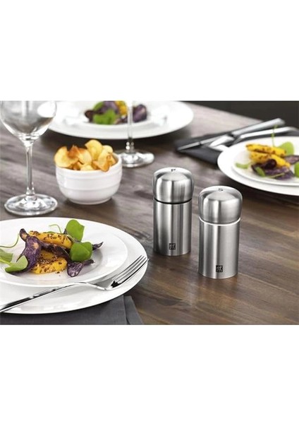 Zwilling Tuz-Karabiber Değirmen Seti, Paslanmaz Çelik, Gümüş Rengi, 100 ml modelleri