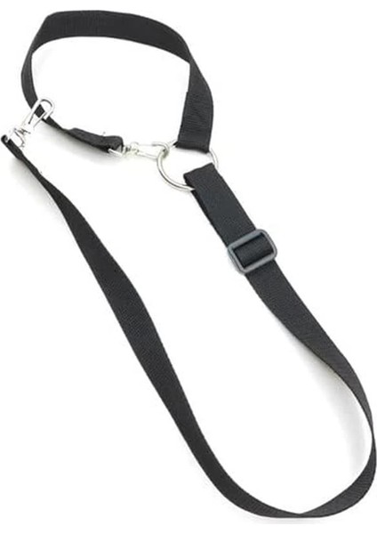 Kedi ve Köpek Araç Emniyet Kemeri Tasması Içi Yavru Evcil Hayvan Tasmaları Araba Kemer fiyatları