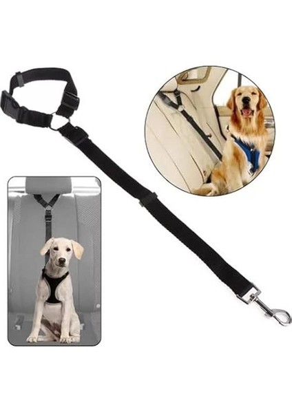 Kedi ve Köpek Araç Emniyet Kemeri Tasması Içi Yavru Evcil Hayvan Tasmaları Araba Kemer modelleri