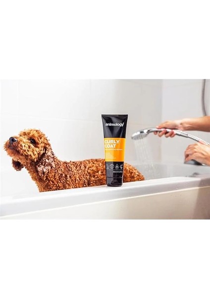 Curly Coat Kıvırcık Tüylü Köpek Şampuanı 250 ml