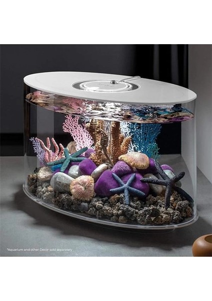 Oase 46143 Deniz Yıldızı Seti, 3 Mavi – Ev Tatlı Su Akvaryumu Veya Deniz Suyu Akvaryumu fiyatları
