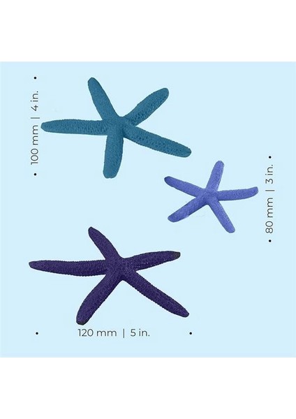 Oase 46143 Deniz Yıldızı Seti, 3 Mavi – Ev Tatlı Su Akvaryumu Veya Deniz Suyu Akvaryumu modelleri