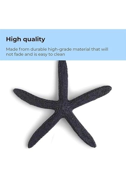 Oase 46143 Deniz Yıldızı Seti, 3 Mavi – Ev Tatlı Su Akvaryumu Veya Deniz Suyu Akvaryumu fırsatları