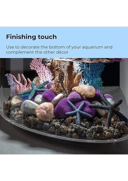 Oase 46143 Deniz Yıldızı Seti, 3 Mavi – Ev Tatlı Su Akvaryumu Veya Deniz Suyu Akvaryumu