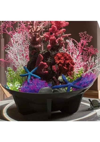 Oase 46143 Deniz Yıldızı Seti, 3 Mavi – Ev Tatlı Su Akvaryumu Veya Deniz Suyu Akvaryumu