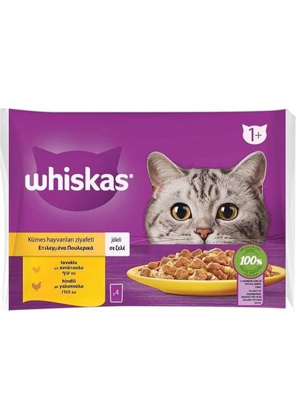 Pouch Jöle Içinde Tavuklu ve Hindili Yetişkin Kedi Konservesi 4X85 gr