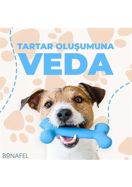 Smile Kedi ve Köpekler Için Nane ve Yeşil Çay Özlü Yumuşak Çiğneme Tableti