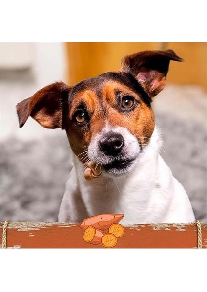 Tavuklu Tatlı Patatesli Mini Düğüm Kemik 8'li 128GR fırsatları