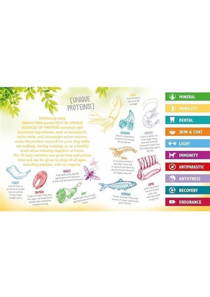 Functional Snack, Fiziksel Sağlığı Desteklemek Için, Tahılsız, Kuzu Etli ve Muzlu fırsatları