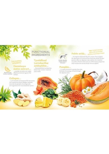 Functional Snack, Fiziksel Sağlığı Desteklemek Için, Tahılsız, Kuzu Etli ve Muzlu indirimleri