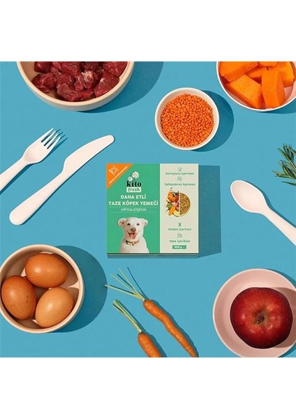 Fresh Dana Etli Taze Köpek Yemeği, 250GR indirimleri