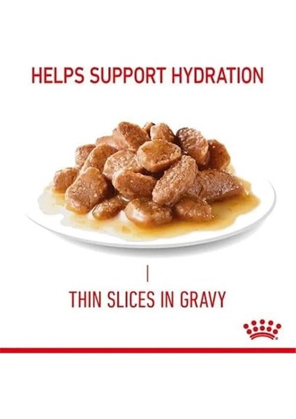 Dıgest Sensıtıve Kedi Yaş Mama 12X85GR fırsatları