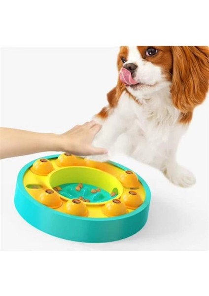 Köpek ve Kedi Için Zeka Geliştirici Yavaş Besleme Oyuncağı – Eğlenceli ve Sağlıklı Beslenme modelleri