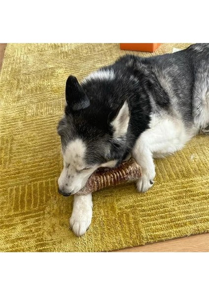 Dana Gırtlak Çiğnemelik Köpek Ödül MAMASI%100 Doğal, Glutensiz, Organik 100 gr (Dog Treat) indirimleri