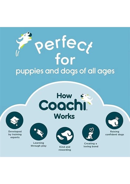 Coachi Antrenman Düdüğü Mercan