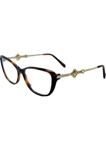 VCH224S 0752 23KT Gold Cat Eye Kedi Gözü Kahverengi Havana 23KT Altın Kadın Gözlük