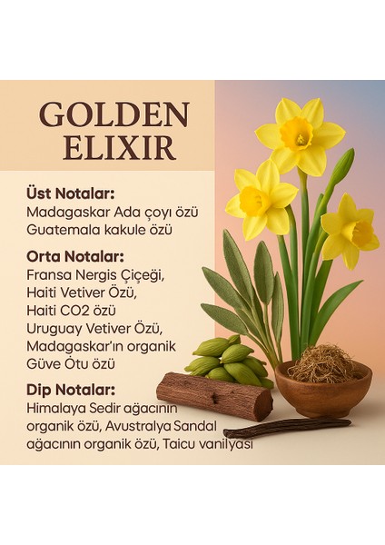 Erkek Parfümü 50 ml | Baharatlı – Odunsu | Yoğun ve Kalıcı | Golden Elixir fırsatları