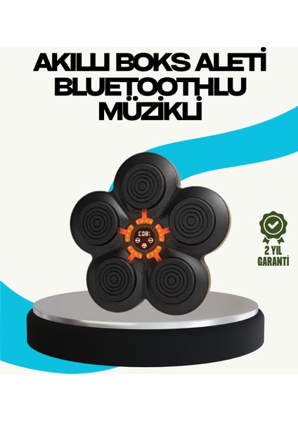 Ev Tipi Akıllı Boks Duvar Paneli Müzikli Bluetoothlu Refleks Geliştirme Cihazı - NJ001P-4IDLI2