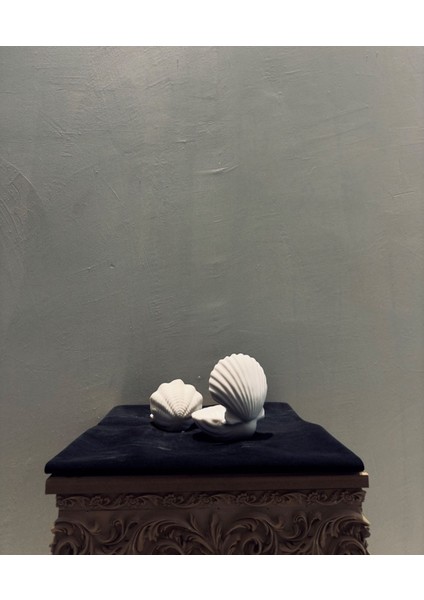 Dekoratif Istiridye Kabuk Biblo – 13X11 cm Polyester Deniz Temalı, Ev & Ofis Dekorasyonu
