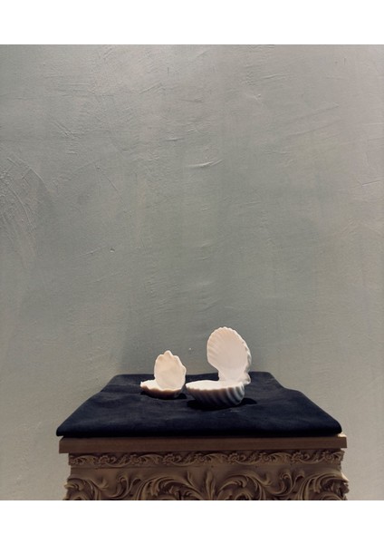 Dekoratif Istiridye Kabuk Biblo – 13X11 cm Polyester Deniz Temalı, Ev & Ofis Dekorasyonu fiyatları