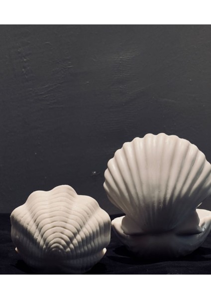 Dekoratif Istiridye Kabuk Biblo – 13X11 cm Polyester Deniz Temalı, Ev & Ofis Dekorasyonu modelleri