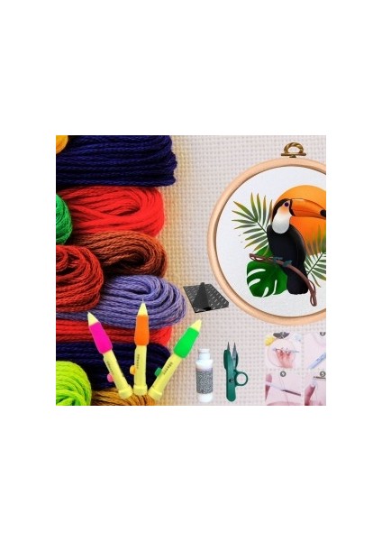 Punch Seti Nakış Seti Kasnaklı Kendin Yap Seti Seri 22