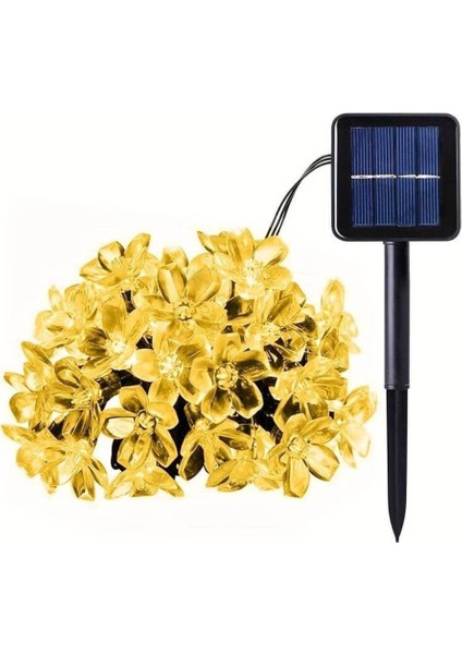 Solar 5m 50 LED Papatya Gün Işığı 8 Fonksiyonlu
