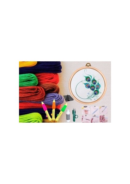 Punch Seti Nakış Seti Kasnaklı Kendin Yap Seti Seri 15