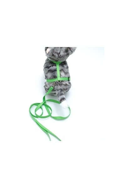 Kedi Düz Göğüs Tasması ve Gezdirme Seti PS9643