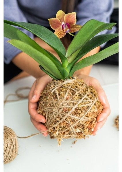 Jut Ipi 100 gr Doğal Ip, Çuval Ip, Hasır Ip, Hasır Renk 1 Adet fırsatları