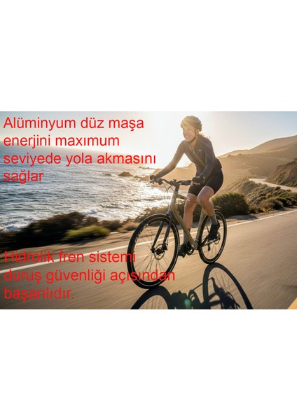 Sportive 324 52 Kadro Hidrolik Fren 24 Vites Şehir Bisikleti Düz Maşa (175 cm Üstü Boy) fırsatları