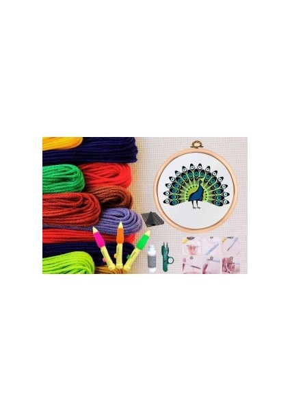 Punch Seti Nakış Seti Kasnaklı Kendin Yap Seti Seri 14