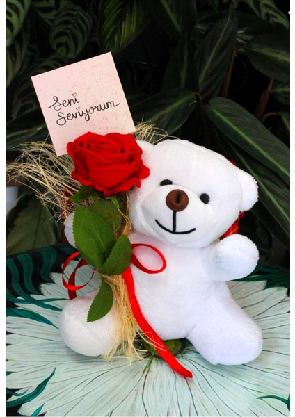 Elinde Kadife Gül & Seni Seviyorum Kartı Tutan 25CM Peluş Ayı Sevdiklerinize Özel Gün Hediyesi