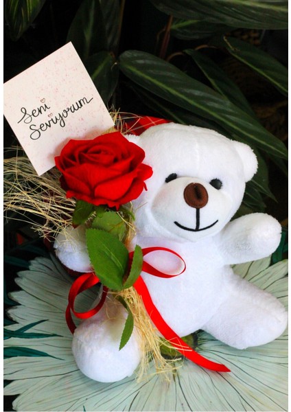 Elinde Kadife Gül & Seni Seviyorum Kartı Tutan 25CM Peluş Ayı Sevdiklerinize Özel Gün Hediyesi fiyatları