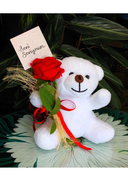 Elinde Kadife Gül & Seni Seviyorum Kartı Tutan 25CM Peluş Ayı Sevdiklerinize Özel Gün Hediyesi modelleri