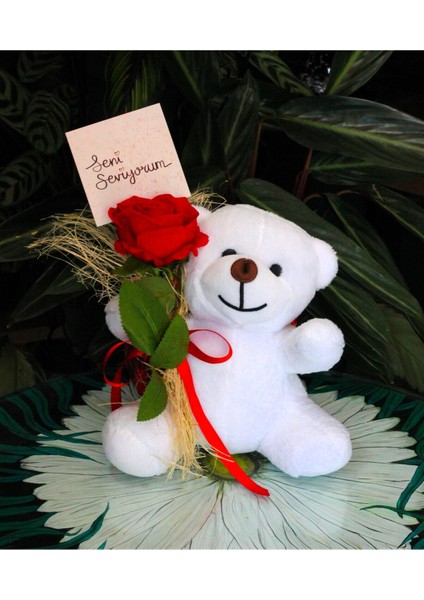 Elinde Kadife Gül & Seni Seviyorum Kartı Tutan 25CM Peluş Ayı Sevdiklerinize Özel Gün Hediyesi fırsatları