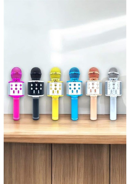 Taşınabilir Bluetooth Karaoke Mikrofon: Hafıza Kart Girişli Etkileyici Performan - BI001V-4Z1WY modelleri