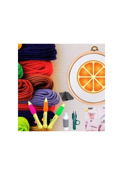 Punch Seti Nakış Seti Kasnaklı Kendin Yap Seti Seri 48