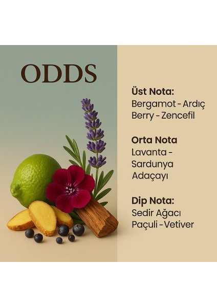 Machuu | Odds Erkek Parfüm 50 ml | Fresh – Odunsu | Extrait De Parfum modelleri