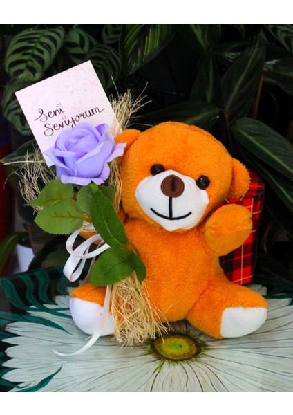 Elinde Kadife Gül & Seni Seviyorum Kartı Tutan 25CM Peluş Ayı Sevdiklerinize Özel Gün Hediyesi modelleri