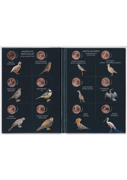 2021 Yılı Bakır Anadolu'ya Özgü Kuşlar Para Seti 12'li Özel Albümünde Çil ( Unc )