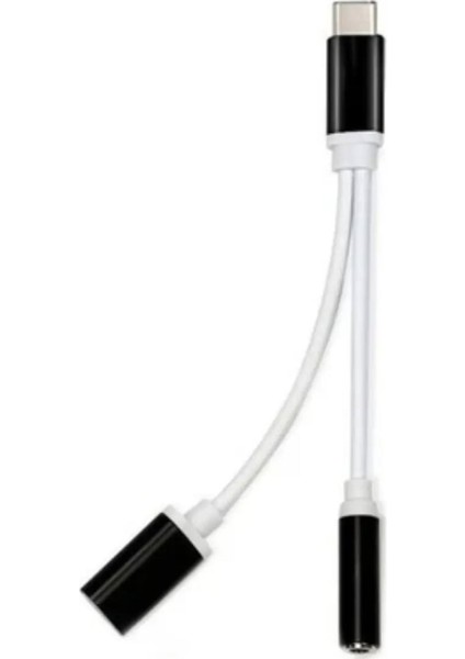 ZR310 Ft Ac 20 Type-C 2 In 1 Çevirici