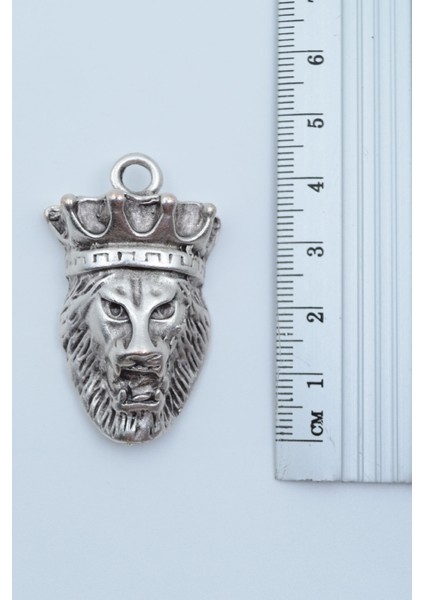 Aslan Kral Gümüş Kaplama Kolye Ucu fiyatları
